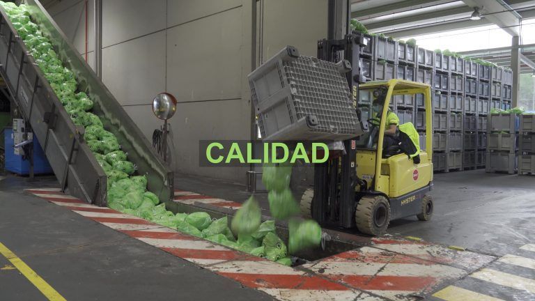 SIGRE-Planta-de-reciclado-Insitucional-mvb-producciones-Tudela-Duero-(9)
