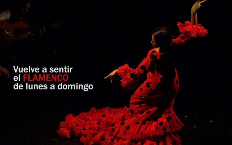 Regreso del Teatro Flamenco de Madrid | Spot Publicitario | #SomosPubli